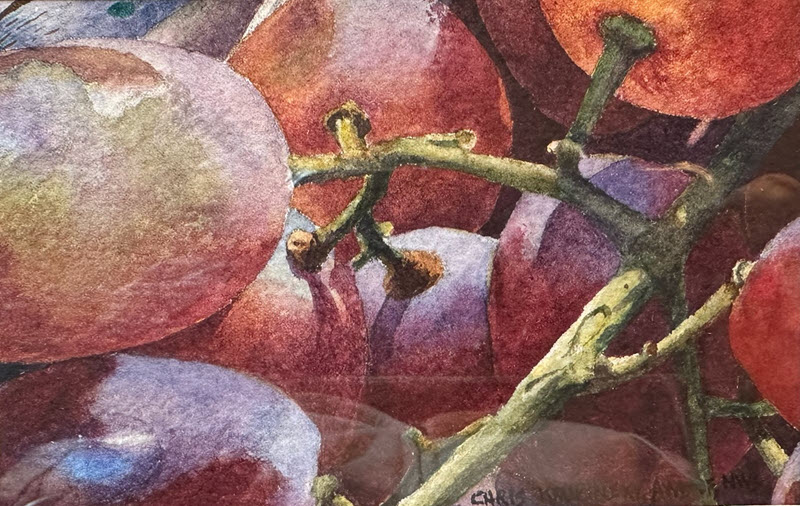Red Grapes, a transparent watercolor painting by Chris Krupinski